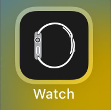 【watctから行う方法】Apple Watchの通知音を消音:マナーモードの設定方法ステップ1